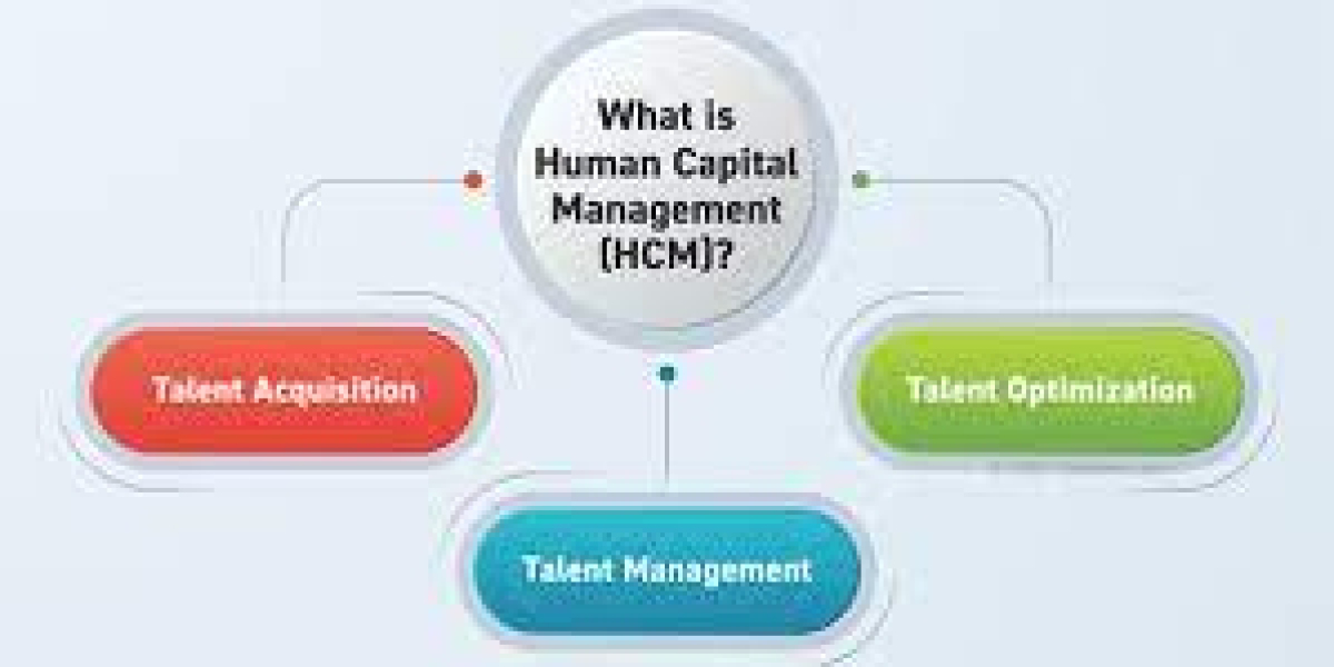 Human Capital Management (HCM) Software Market Size, Latest Trends, Research Insights, Key Profile And Applications By 2