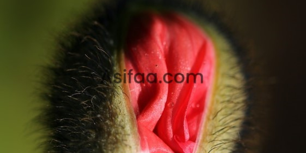 The Benefits Of Hiring Professional Call Girls From Marathahalli