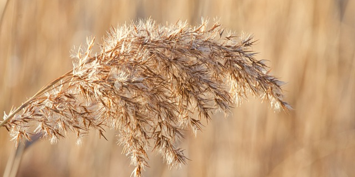 Guide to Happy Sex: Sex Toys for a Fulfilling Sexual Life