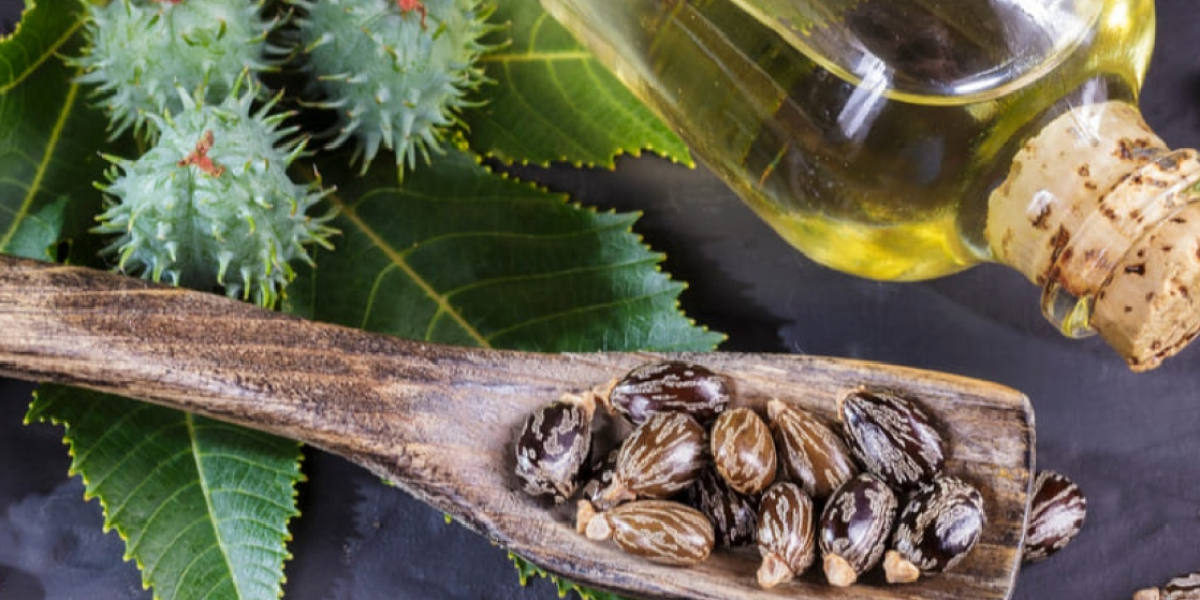 Global Castor Oil & Derivatives Market Size, Share, Growth Analysis, By Product(Hydrogenated castor oil, Dehydrated 