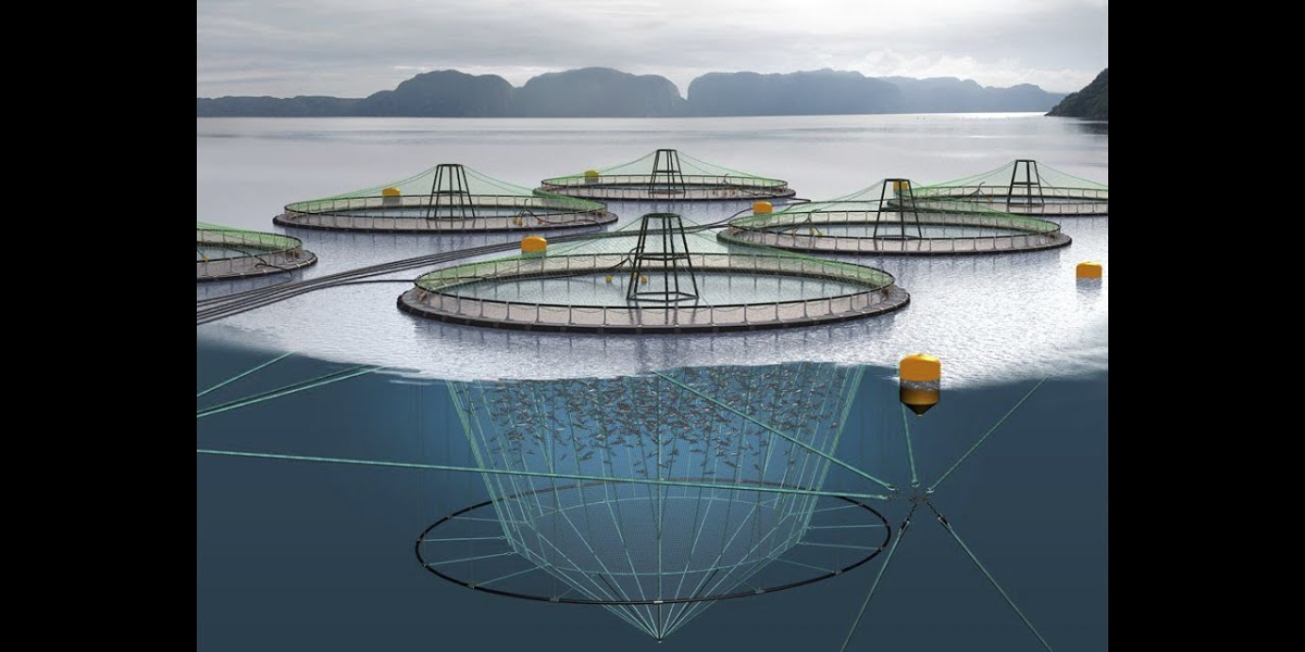 Aquaculture Market Research Growth Report Forecast to 2028