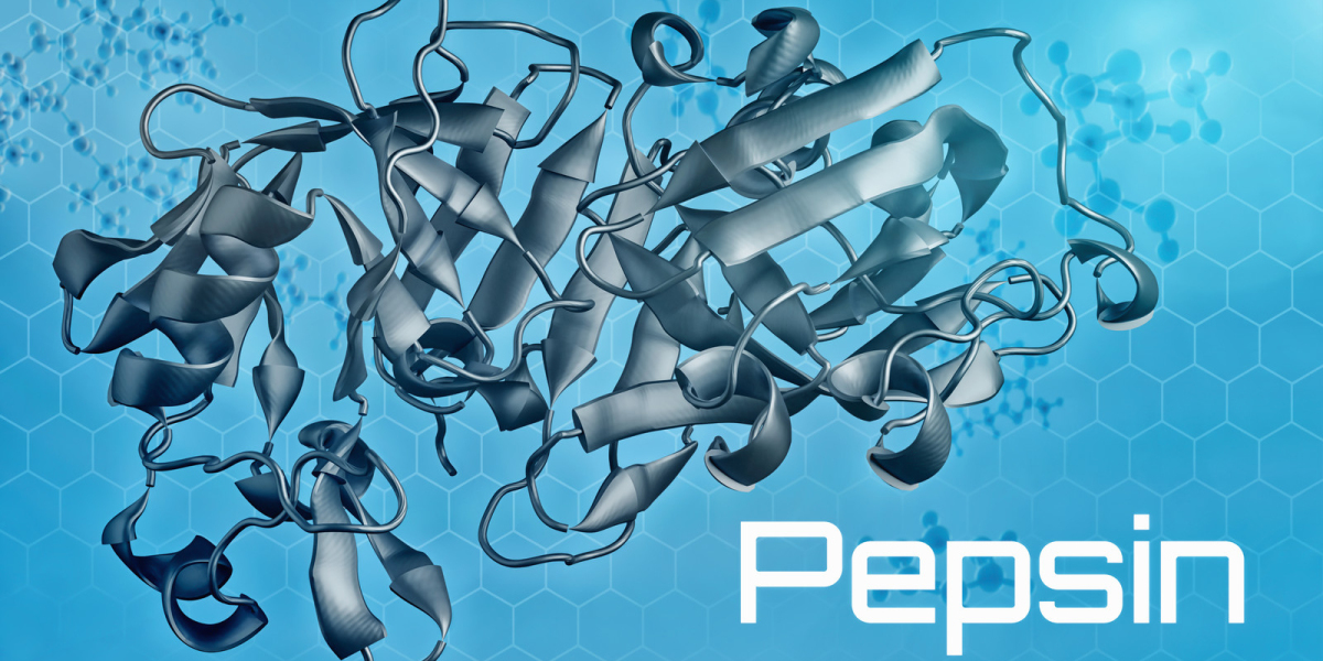 Digesting Success: Pepsin HMarket's USD 19.87 Million Milestone in 2018