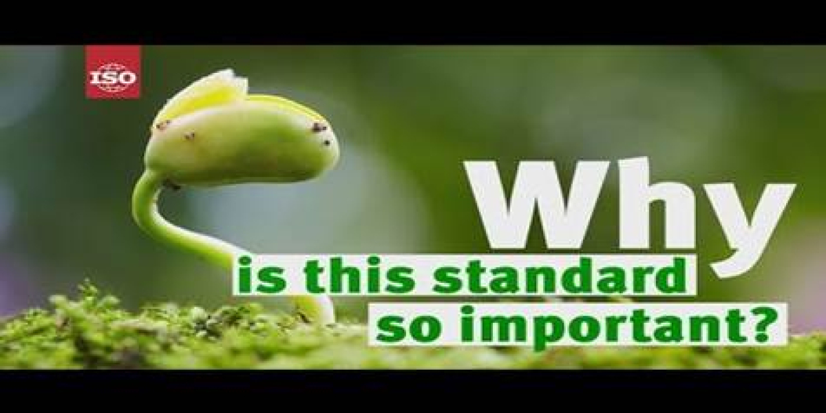 chứng nhận iso 14001