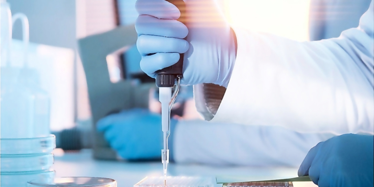 Infectious Disease Diagnostics Market Segment and Industry Growth by Forecast to 2028