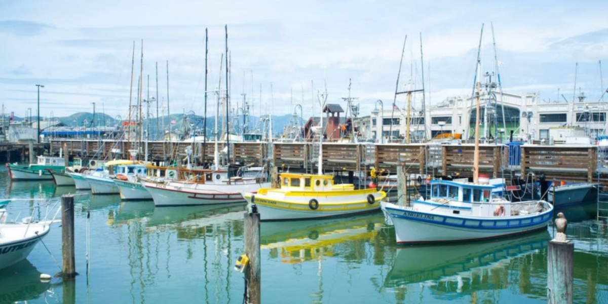 Navigating Perth's Boating Market: A Buyer's Guide to Boats for Sale