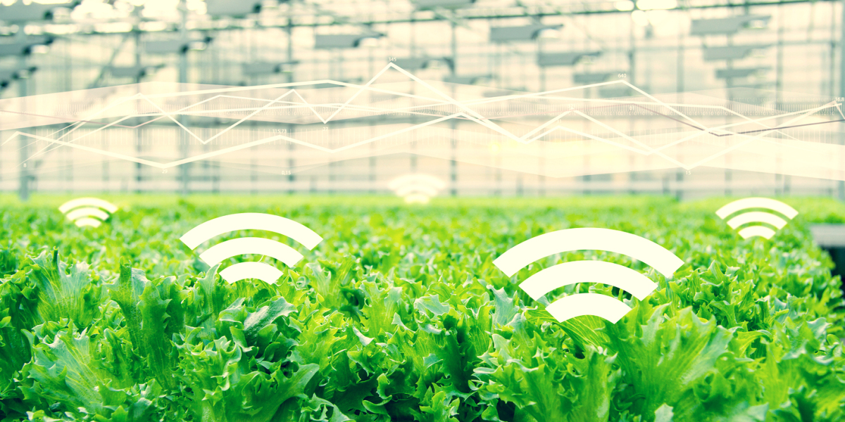 Green Packaging Market is Estimated To Witness High Growth Owing To Stringent Environmental Regulations