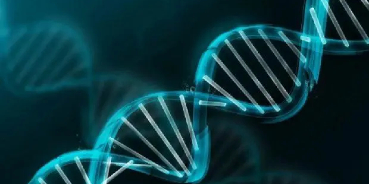 Hope on the Horizon: Emerging Therapies for Duchenne Muscular Dystrophy