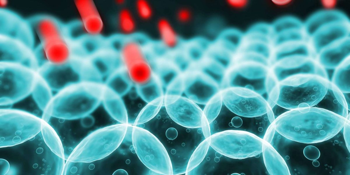 Oxidative Stress Assay Market Size, Share, Growth Analysis | Industry Forecast 2023-2030