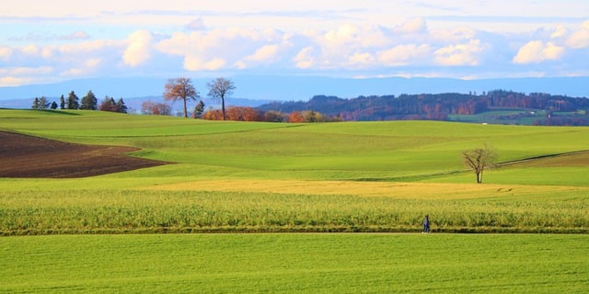 Sensual indulgence: sex products bring new feelings to your life