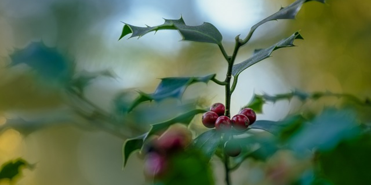 Sex toys are against gender restrictions