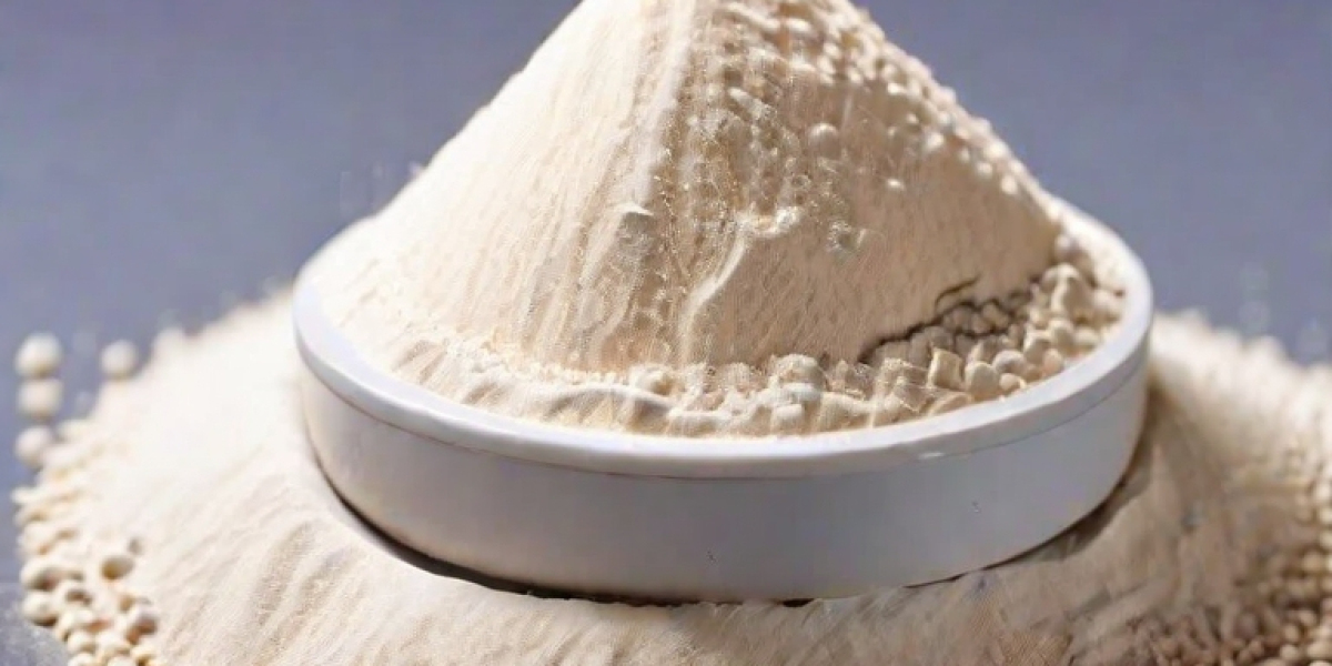 Prefeasibility Report on a Bleaching Powder Manufacturing Plant Project Setup Cost and Expanses