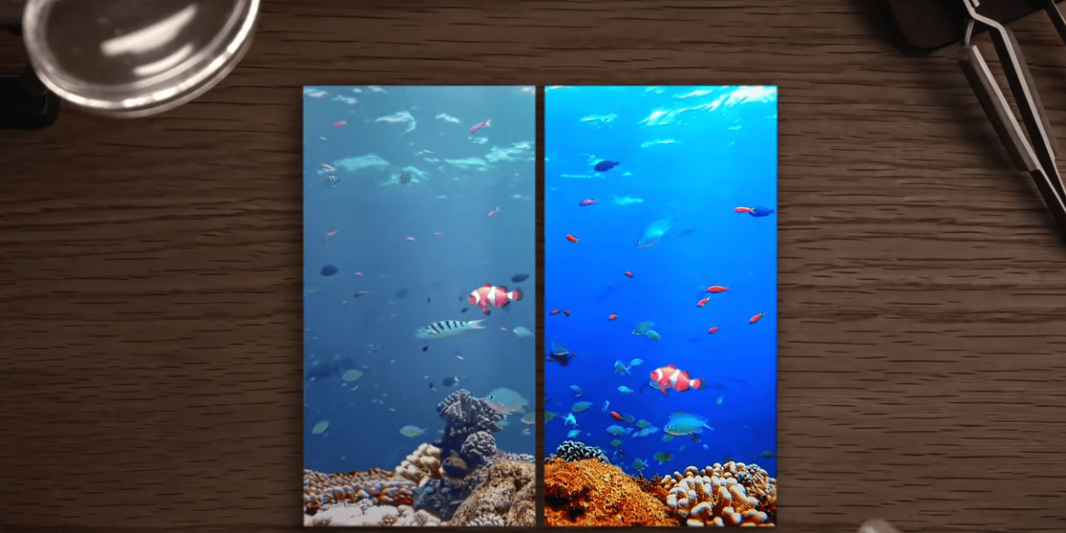 IPS Displays Market 2023 Assessment and Key Insights Analyzed Till 2030