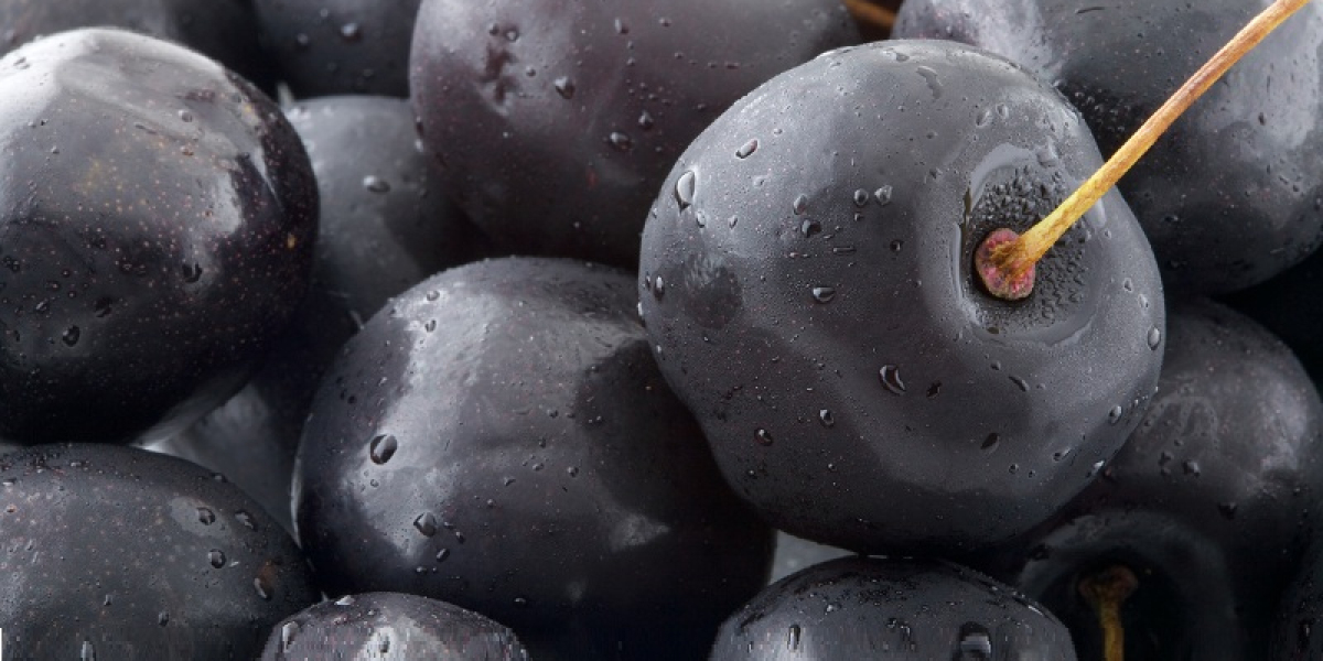 Liquid Synthetic Rubber Market Share and Future Forecast 2023 to 2029