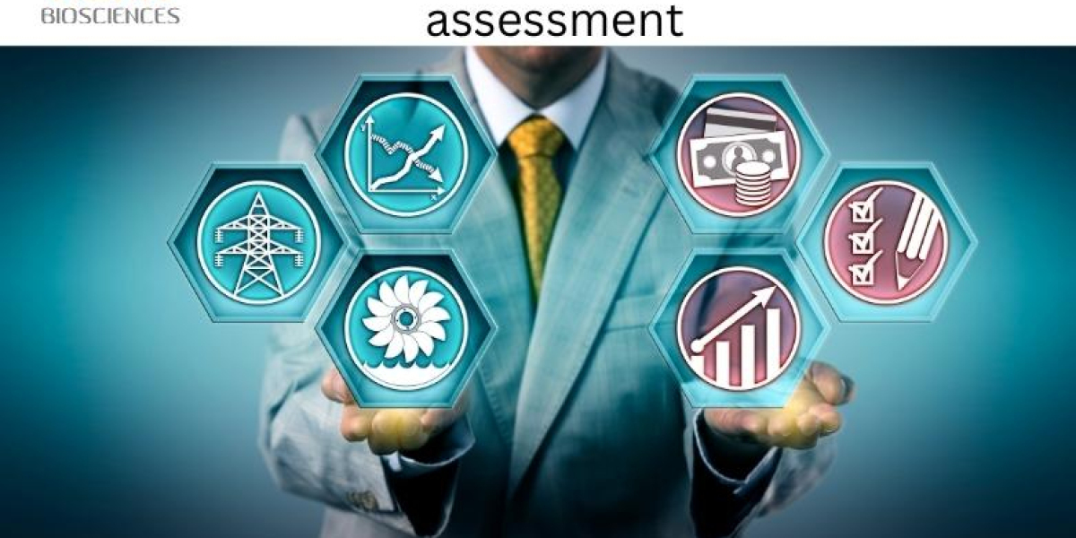 Unlocking the Secrets of antibody developability assessment: Key Factors and Strategies