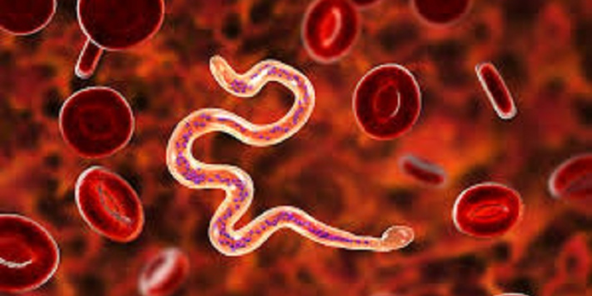 Elephantiasis Market Analysis, Epidemiology, Trends and Forecast till 2024-2034