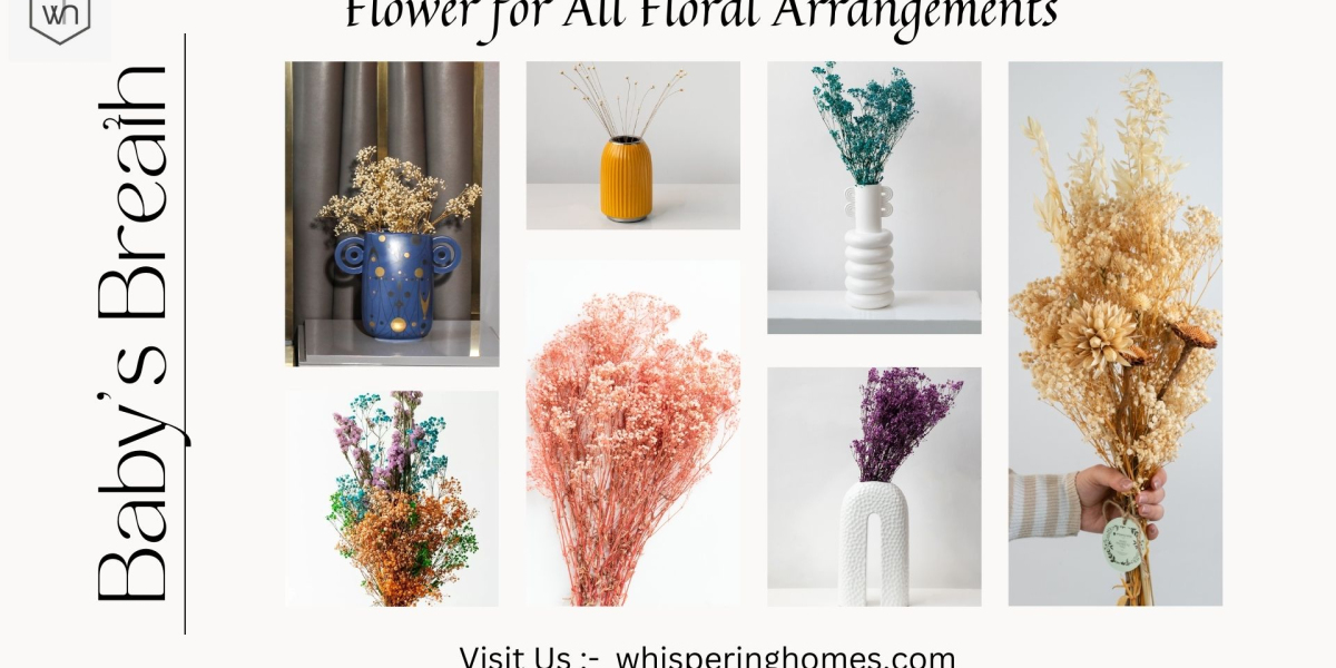 Baby's Breath: The Perfect Ornamental Flower for All Floral Arrangements