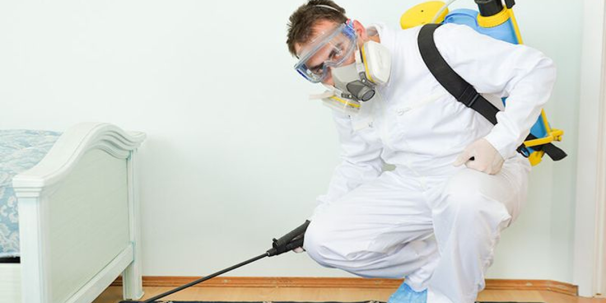 Find Pest Control Services professionals near you