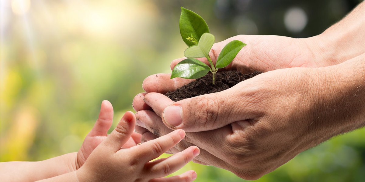 Biostimulants Market Is Estimated To Witness High Growth Owing To Increasing Demand For Eco-Friendly Products