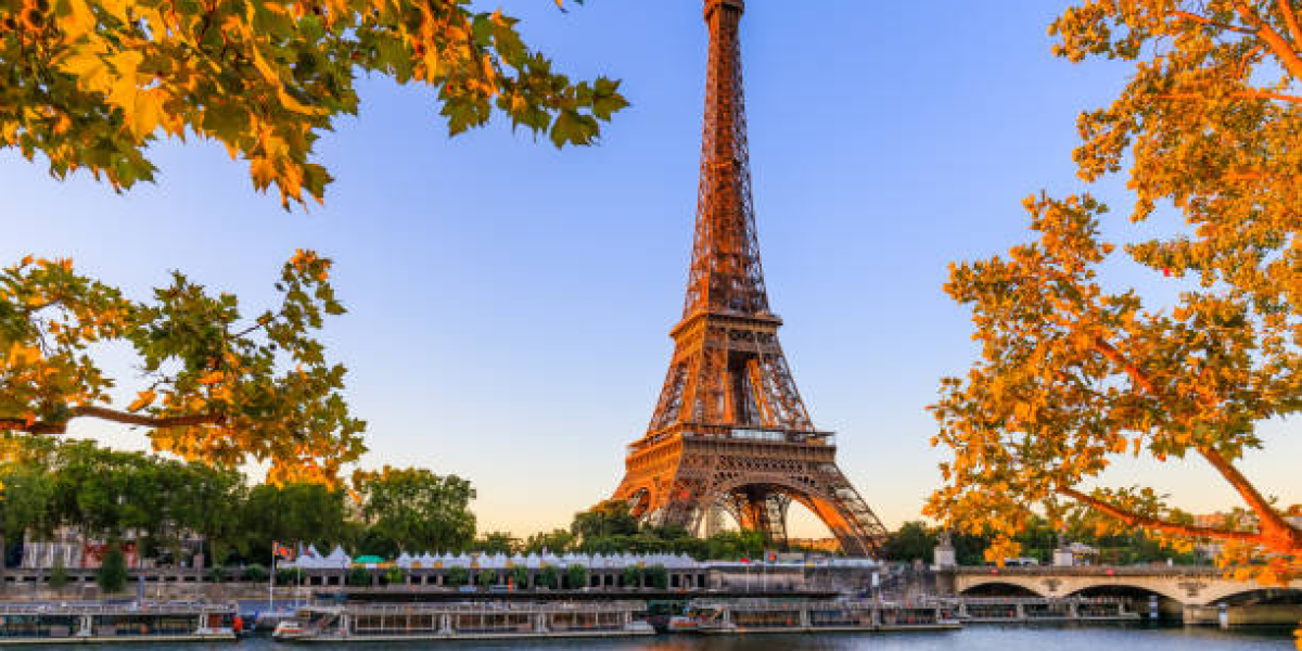 Campfire Chronicles: Stories Under the Stars