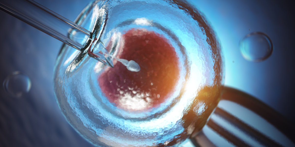 Ivf Services Market Growth Size, Opportunity And Forecast To 2027