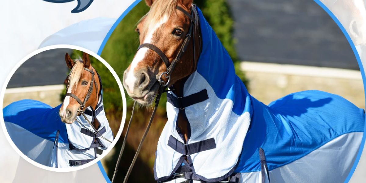More Than Just Rainproof: How a Lightweight Turnout Rug Boosts Horse Comfort