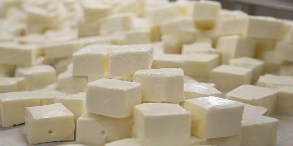 Feta Cheese Manufacturing Plant Project Report Plant Setup Details, Capital Investments and Expenses