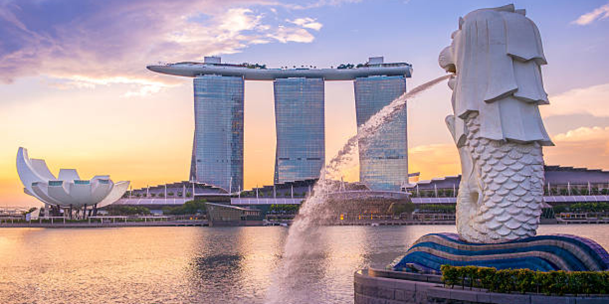 Mastering Business in the Lion City: Top MBA Colleges in Singapore