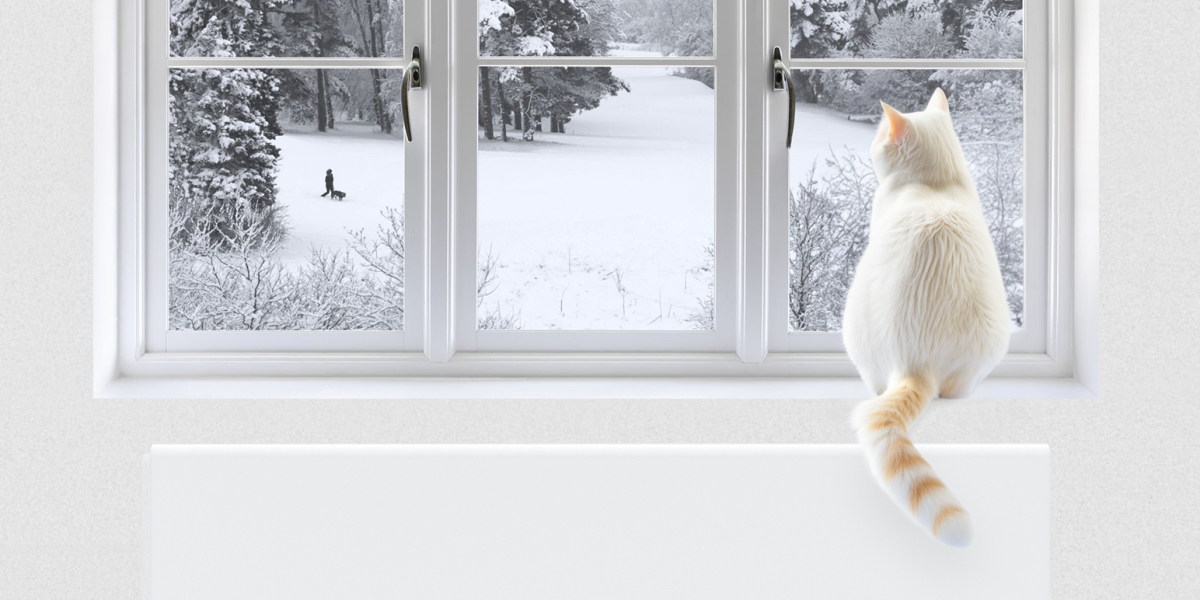 8 Easy and Tasty Recipes for a Cozy Fall Scented Home