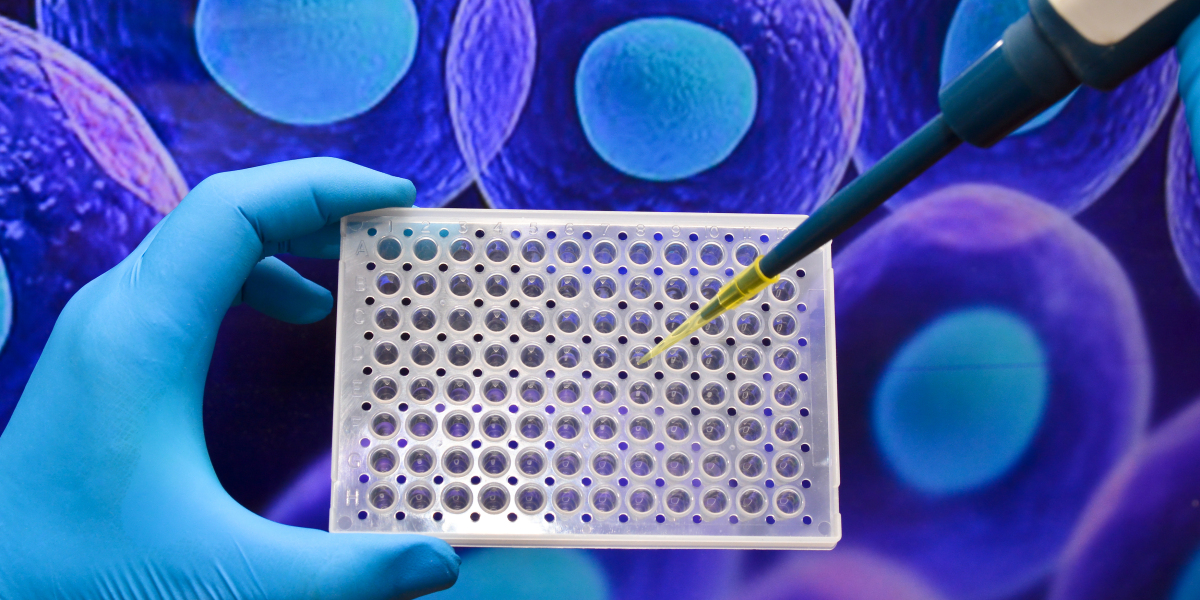 Cell Line Development Market Growth Types, Applications, And Forecast To 2027