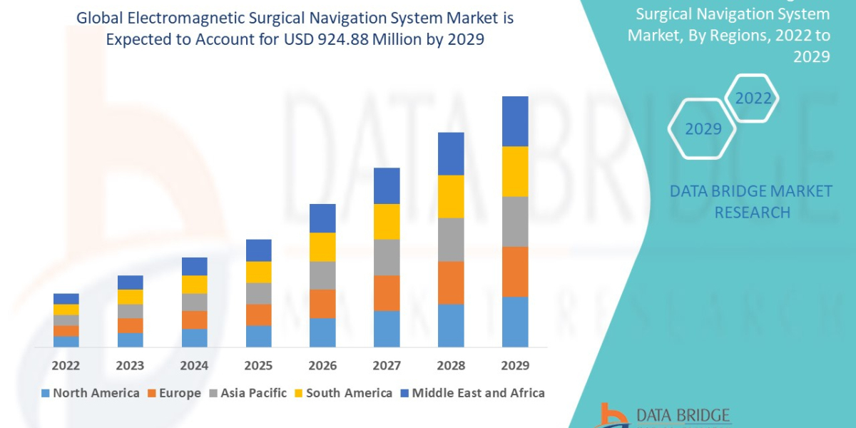  Electromagnetic Surgical Navigation System  Industry Size, Share Trends, Growth, Demand and Opportunities by 2029