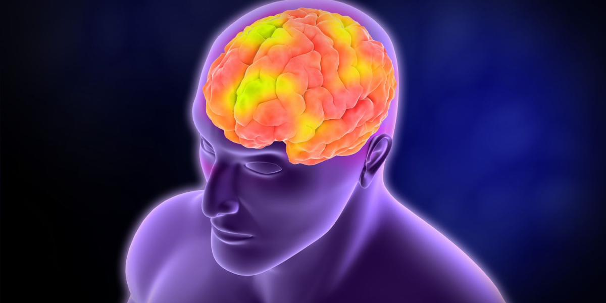 Aphasia Unearthed: Causes, Symptoms, and Proven Communication Strategies | DLI