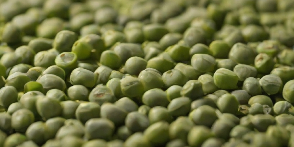 Mung Bean Manufacturing Plant Cost 2024: Project Report, Plant Setup and Business Plan