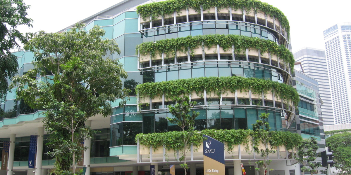 Navigating Success with SMU MiM: Your Gateway to Global Opportunities