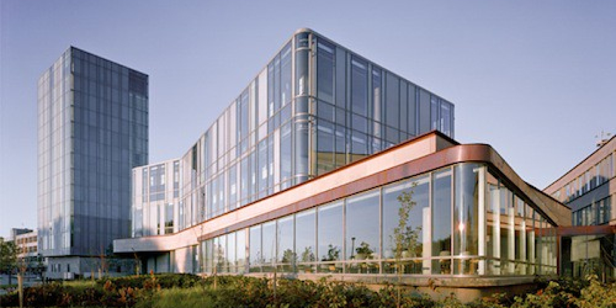 Navigating Success with Schulich Business Analytics: A Comprehensive Guide to Studying Abroad