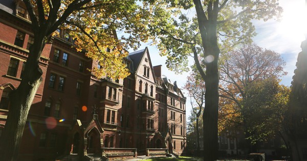 Ugaelc's answer to Have you ever discovered at almost the end of your program that what you are studying in school is not what you actually like? Did you finish it or quit it for what you actual like? - Quora