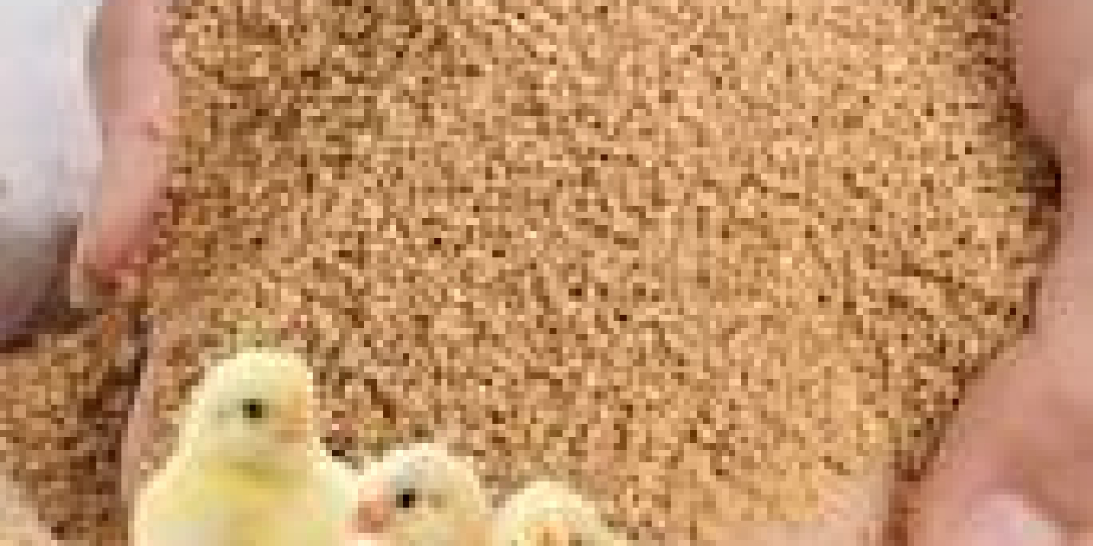 Poultry Feed Market Share, Trend, Segmentation and Forecast to 2028
