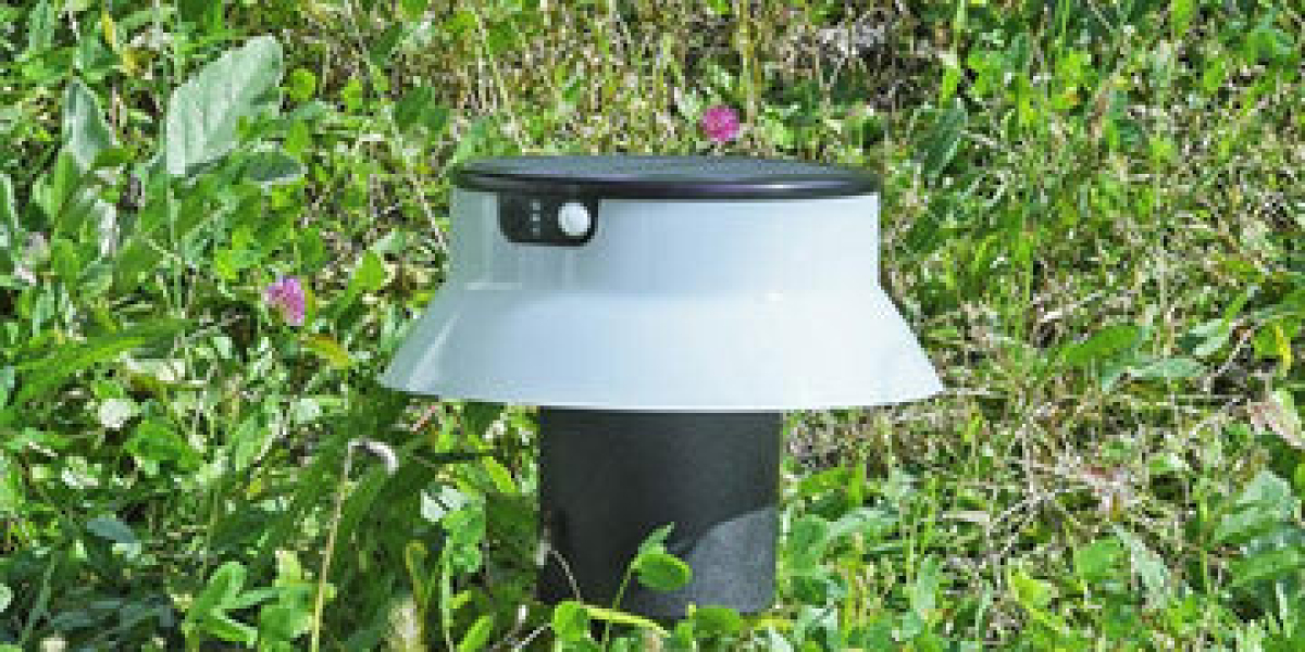 Exploring the World of Outdoor Bollard Lights
