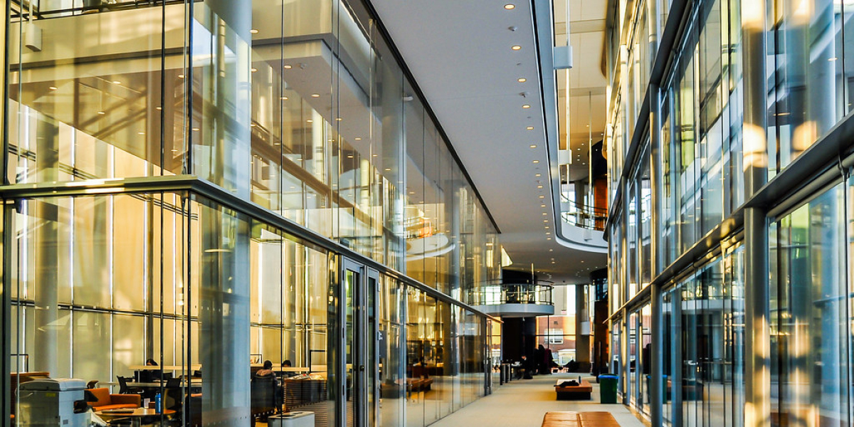 ESSEC MIM: Unlocking Opportunities in International Business Education