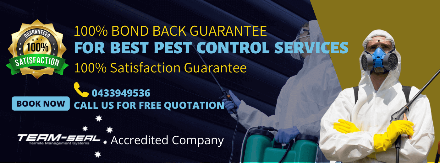 365 Pest Control on Tumblr: 365 Pest Control's budget-friendly pest control plans