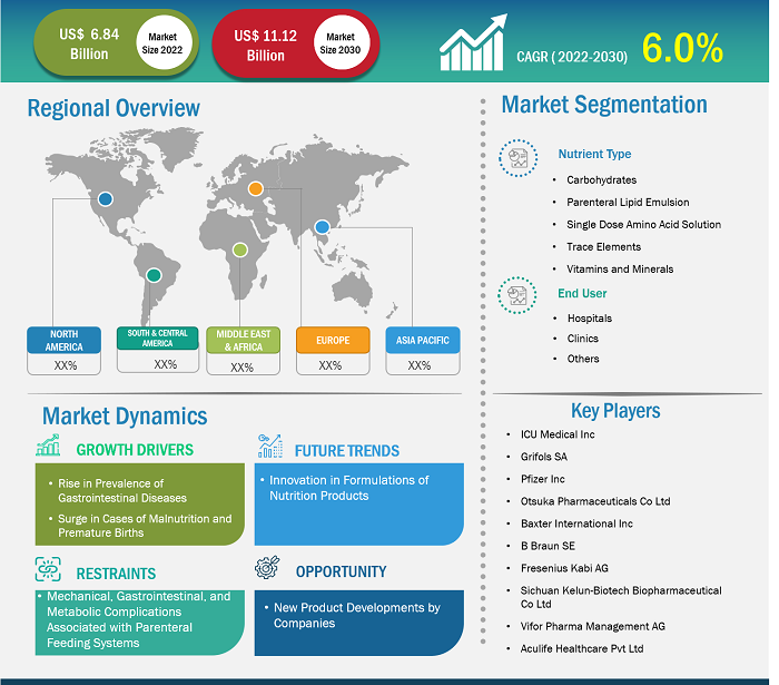 Parenteral Nutrition Market Players, Size and Share by 2030