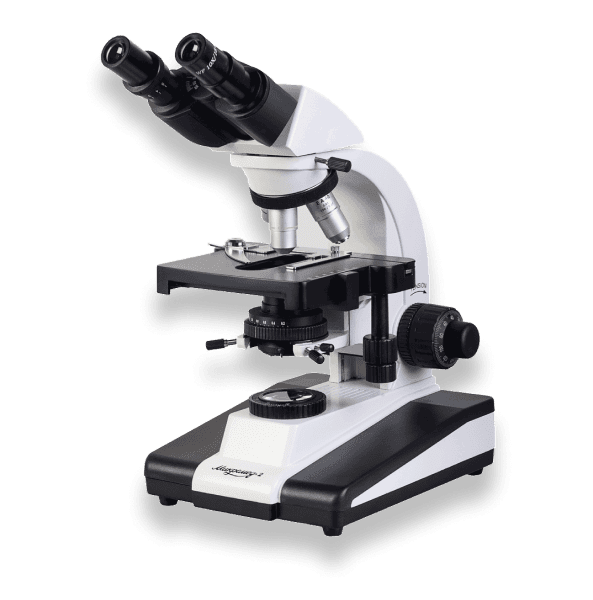 FREE COVID-19/RSV/Flu Testing* | Same-Day Results | My Care Labs