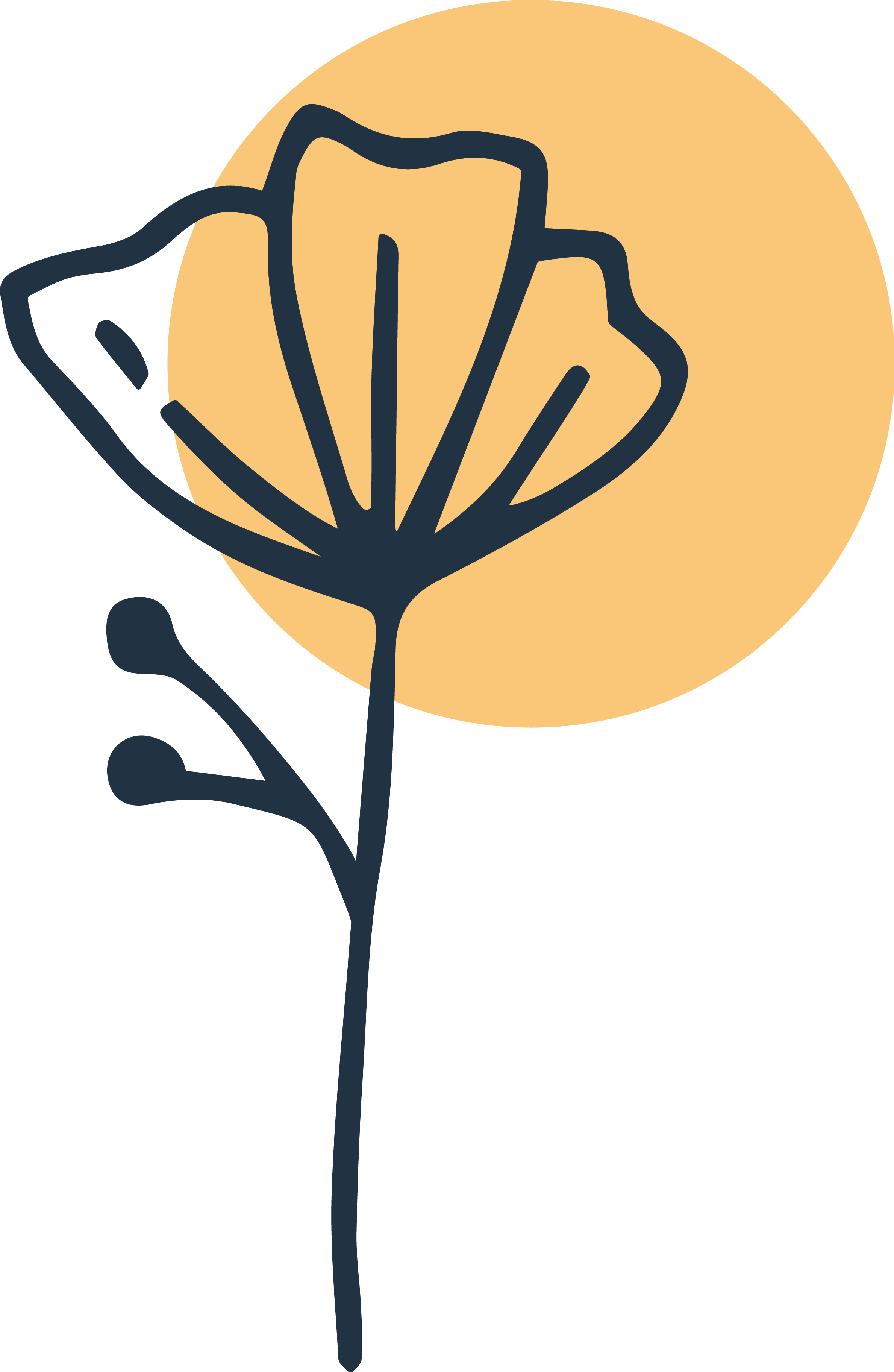 Best Beverages in Los Angeles | Sweet Flower