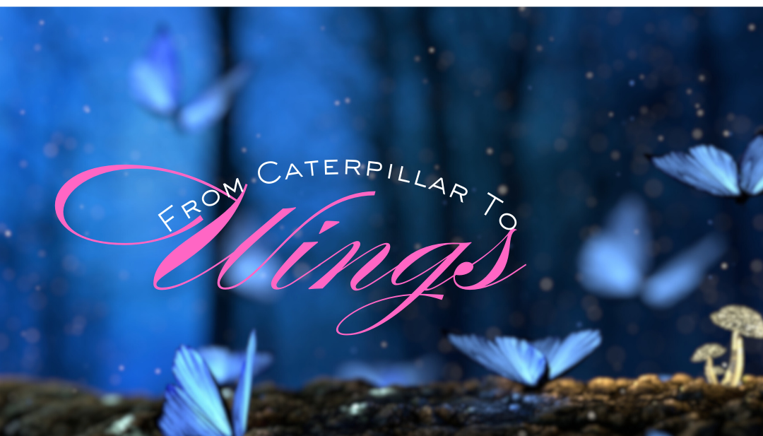 From Caterpillar to Wings | Seer Sensitives