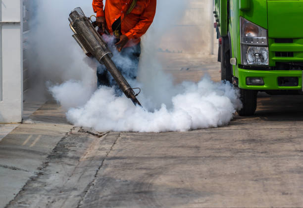 7 Tips to Keep Mosquitoes Away Between Fogging Treatments - virtualvivienne