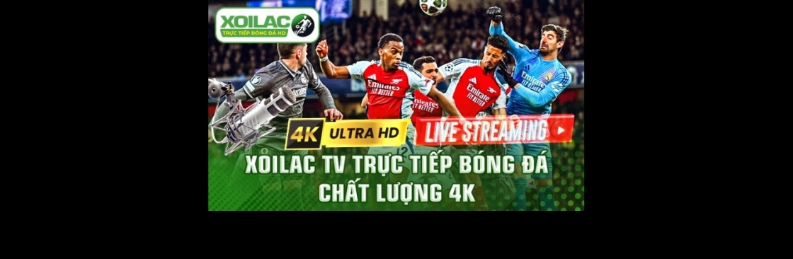 therobotbrainsai scams users