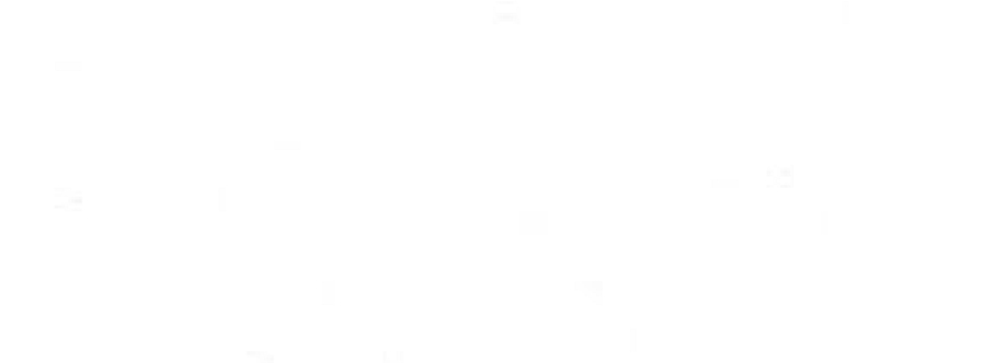 Balance Fitness and Wellness