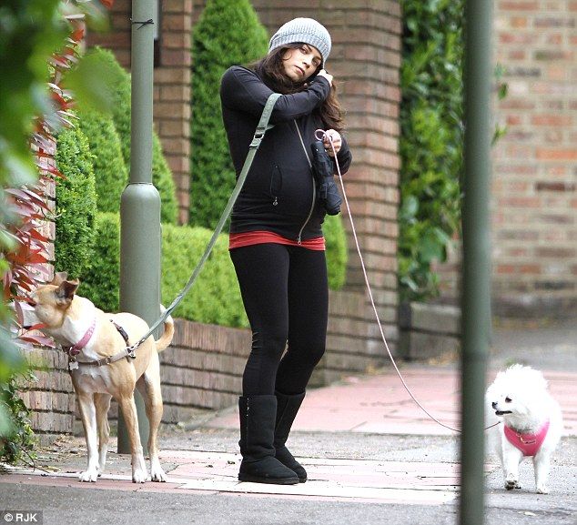 Through Parks and Paws | Life with Local Dogs in North London