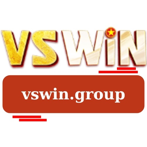 vswin group