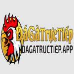 Đá gà trực tiếp Nền tảng xem đá gà