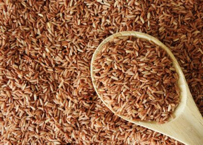 Indoor Farming Industry Trends: Unlocking Resilience in the Global Food Supply Chain